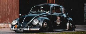Black-Beetle_web Black-Beetle_web